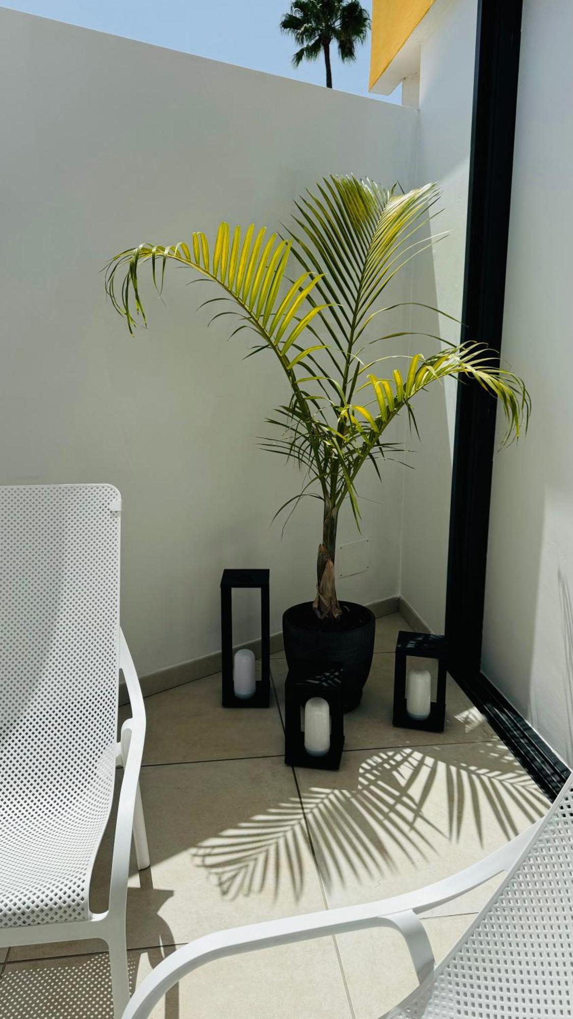 Bungalow Siena Center Playa Del Ingles Maspalomas  Eksteriør bilde