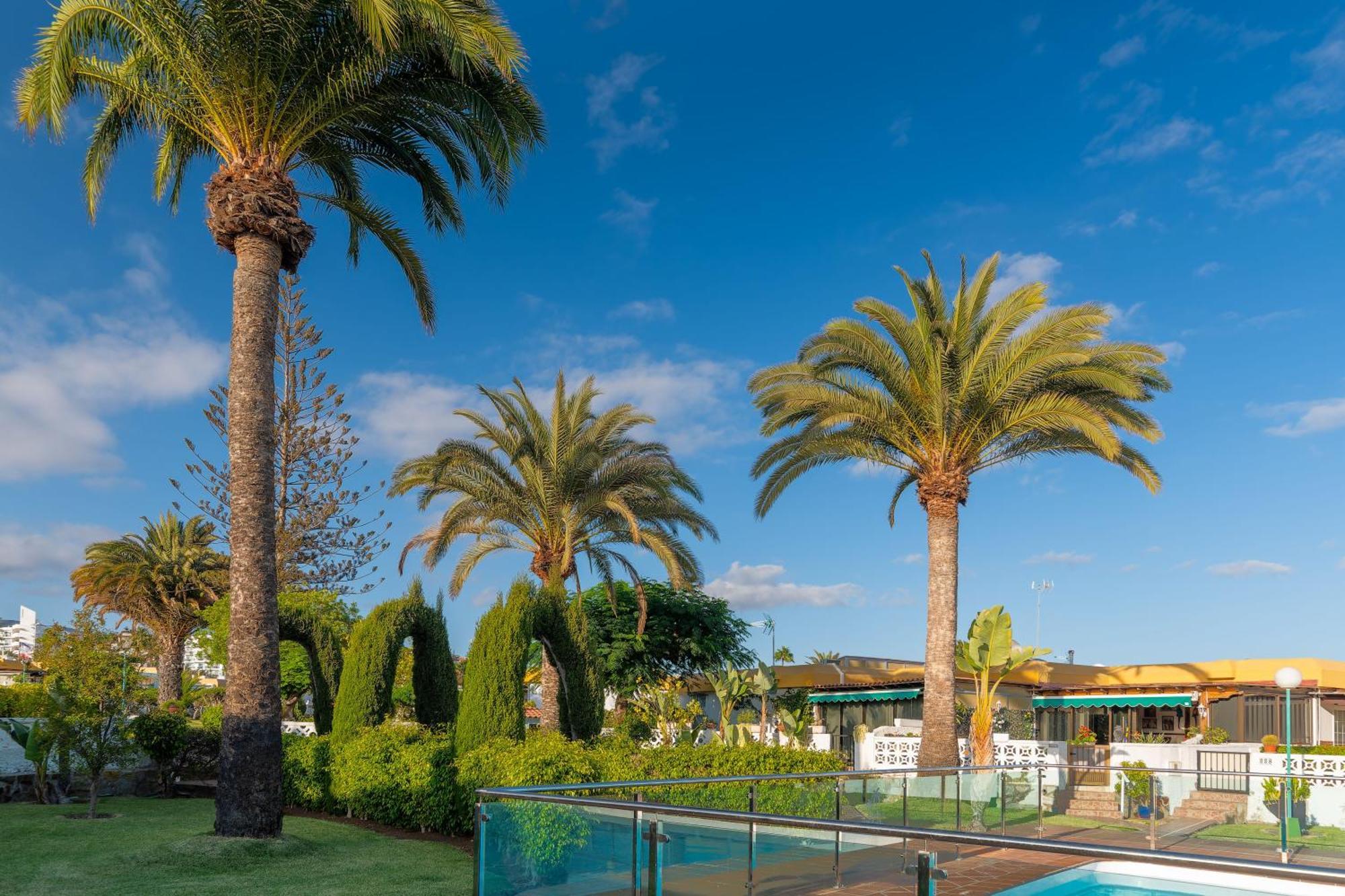 Bungalow Siena Center Playa Del Ingles Maspalomas  Eksteriør bilde
